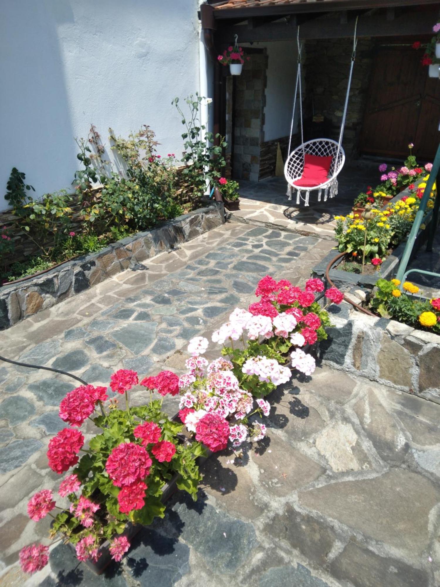 Guest House Popov Marchevo Ngoại thất bức ảnh